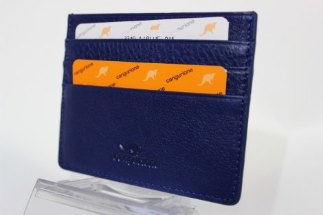 Can3349A-Blu
